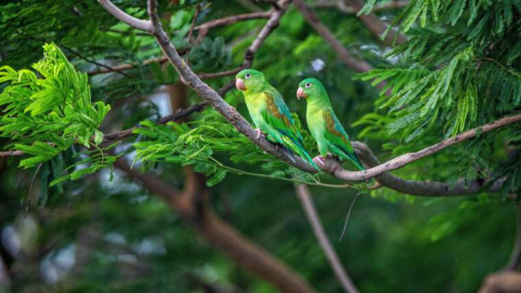 Explore Nicaragua