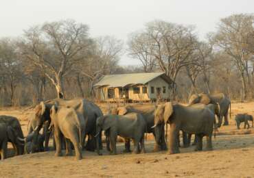 Zimbabwe Safari Tour