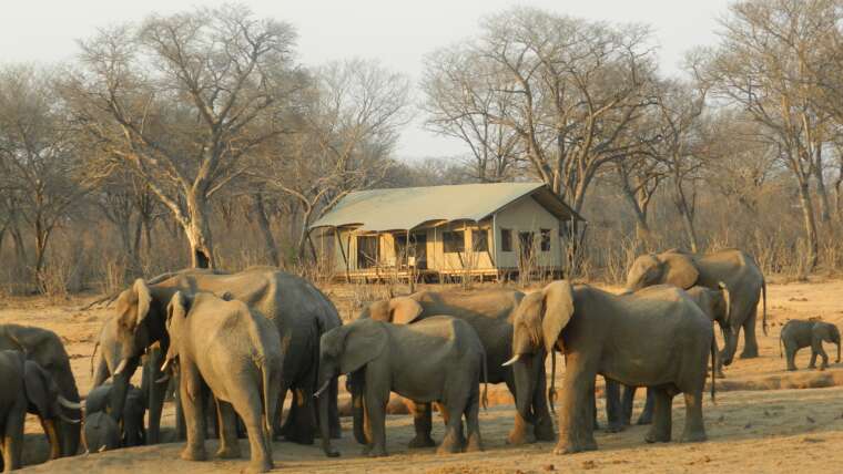 Zimbabwe Safari Tour
