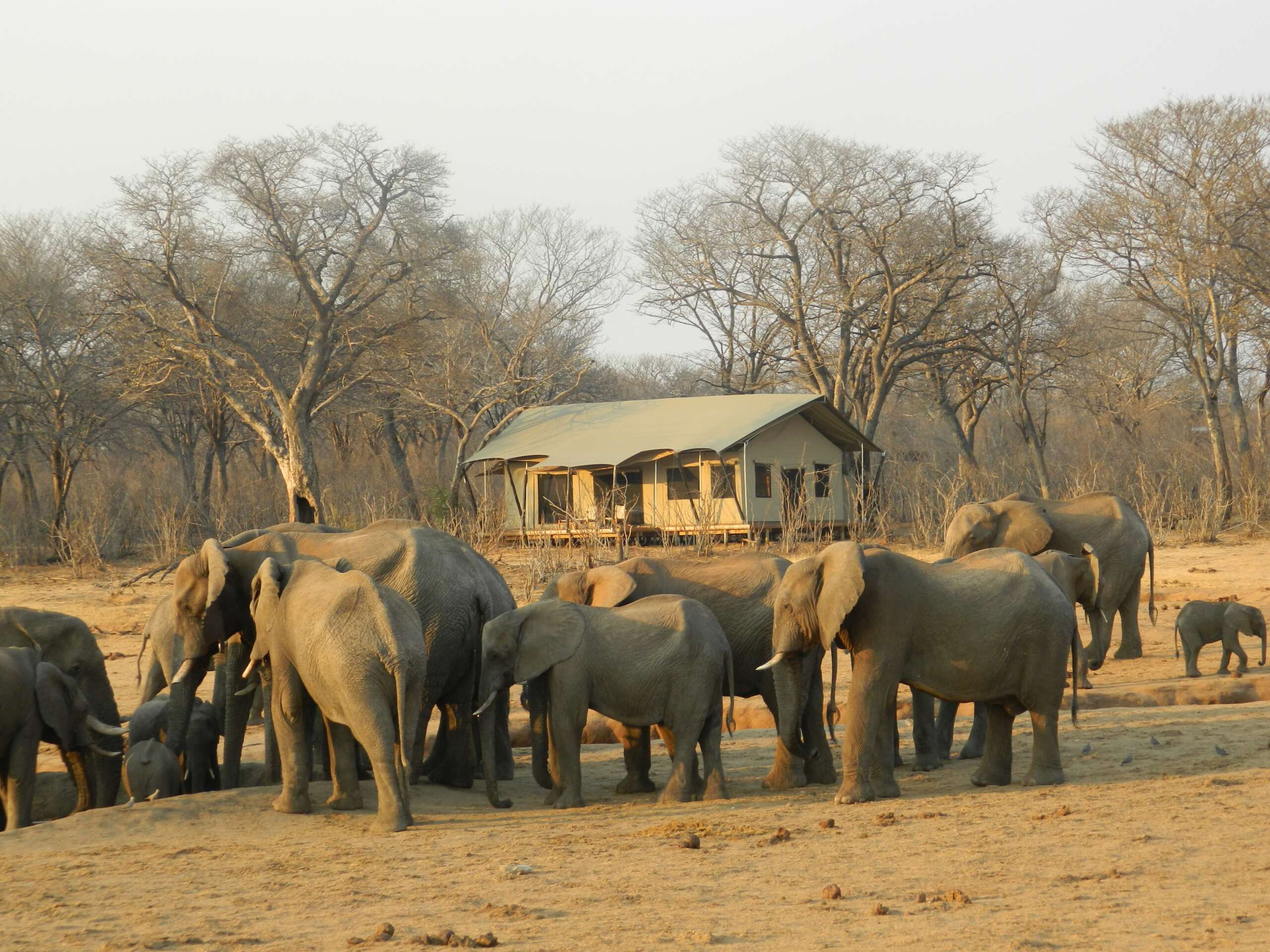 zimbabwe luxury safari tours