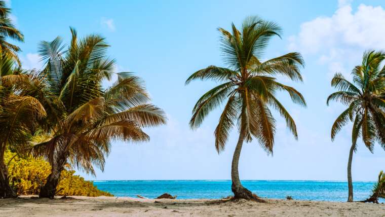 Belize Beach Tour