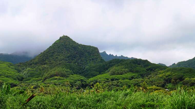 Cook Island Tour Experience