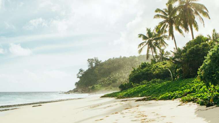 Seychelles Island Experience